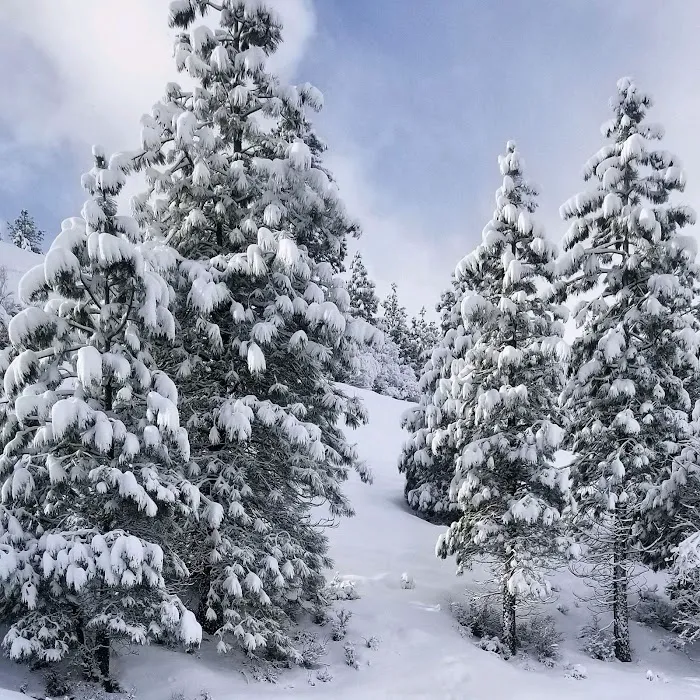 Truckee River RV Park Picture 9