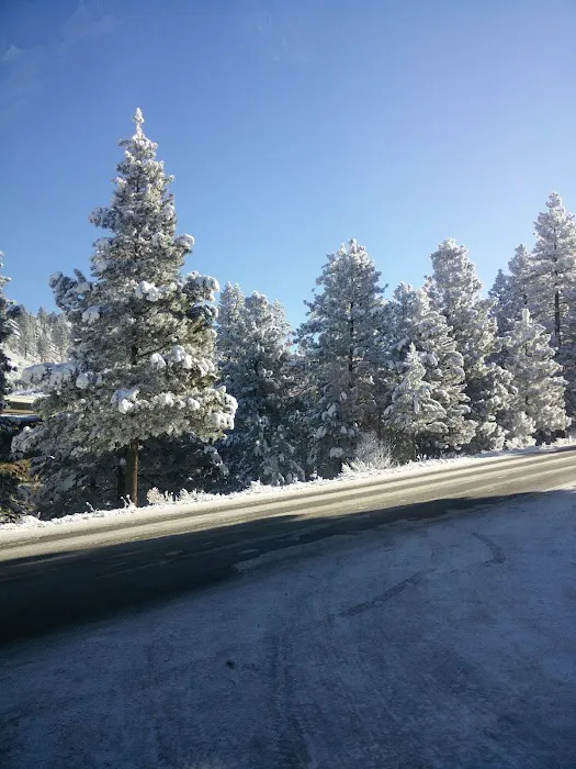 Truckee River RV Park Picture 7