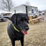 Sierra Valley RV Park