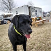 Sierra Valley RV Park ico