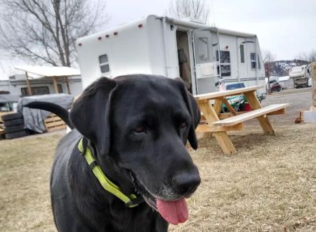 Sierra Valley RV Park