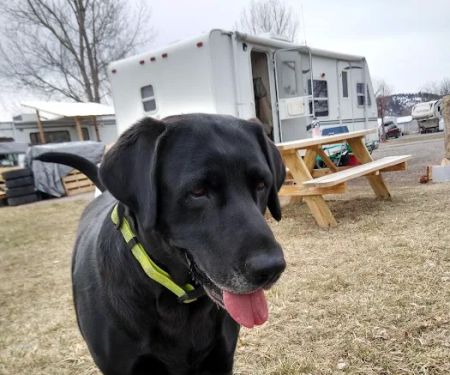 Sierra Valley RV Park