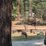 Sleepy Hollow RV Park