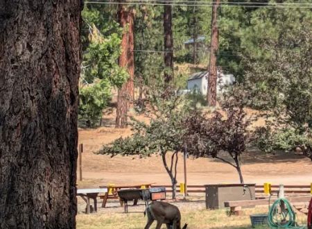 Sleepy Hollow RV Park