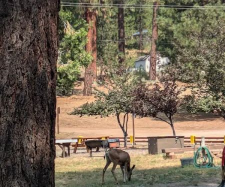 Sleepy Hollow RV Park