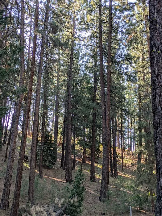 Sleepy Hollow RV Park Picture 2