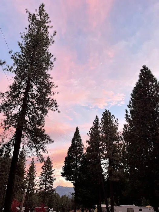 Sleepy Hollow RV Park Picture 4