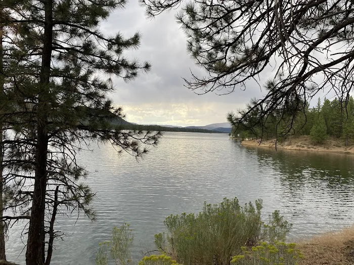 Sleepy Hollow RV Park Picture 8