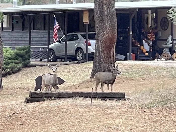 Sleepy Hollow RV Park Picture 3