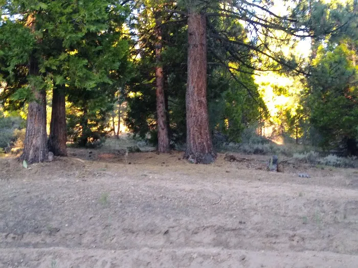 Crocker Springs RV Park Picture 6