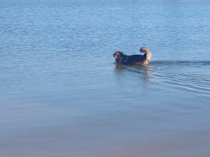 Crocker Springs RV Park Picture 1