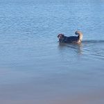 Crocker Springs RV Park