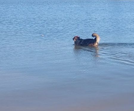 Crocker Springs RV Park