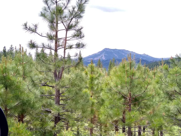 Crocker Springs RV Park Picture 9