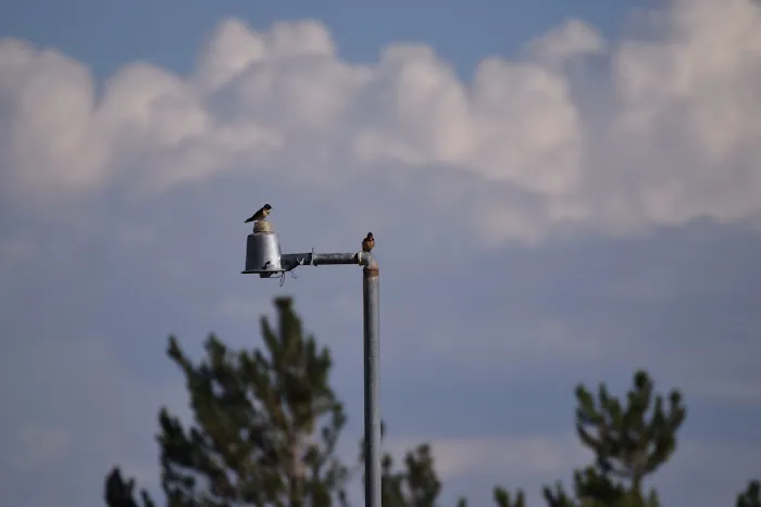 WindBreak Mobile Home Park and RV Park Trailer Park Picture 6