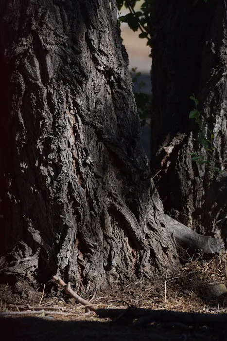 WindBreak Mobile Home Park and RV Park Trailer Park Picture 5