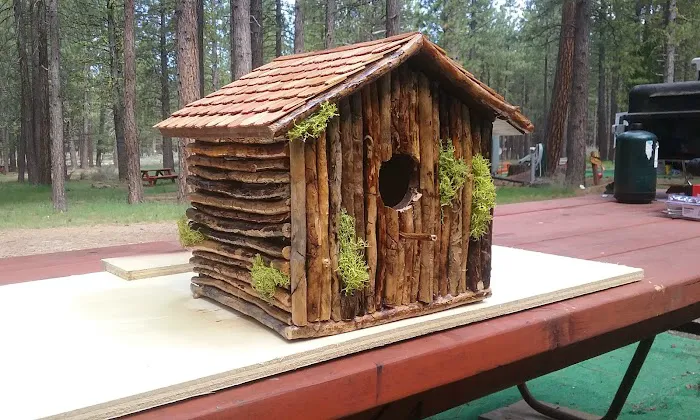 Feather River RV and Mobile Home Park Picture 3