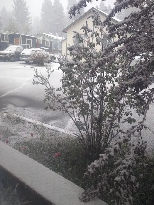 Village Green Mobile Home Park Picture 9