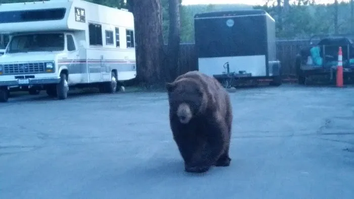 Village Green Mobile Home Park Picture 6