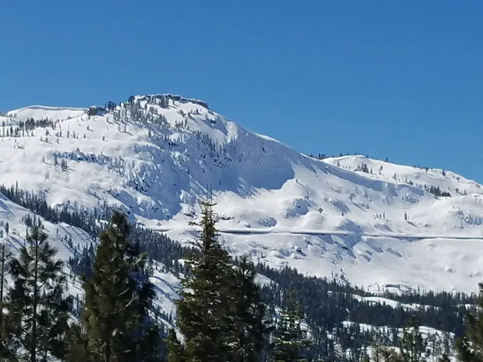 Village Green Mobile Home Park Picture 2