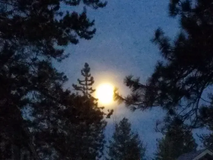 Village Green Mobile Home Park Picture 1