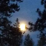 Village Green Mobile Home Park