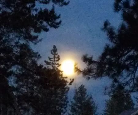 Village Green Mobile Home Park