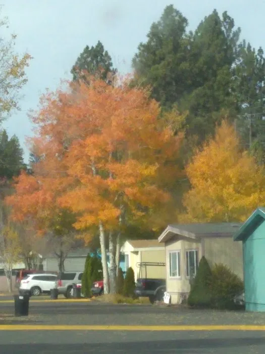 Village Green Mobile Home Park Picture 7