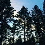 Donner Creek Mobile Home Park