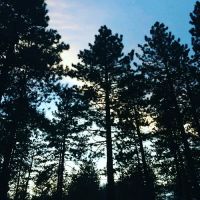 Donner Creek Mobile Home Park ico