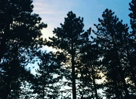 Donner Creek Mobile Home Park