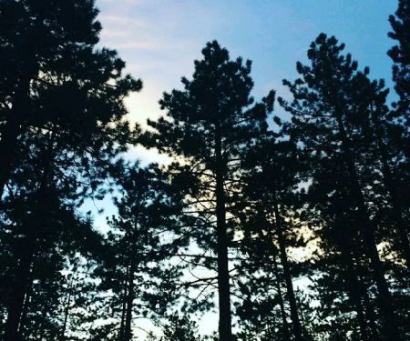 Donner Creek Mobile Home Park