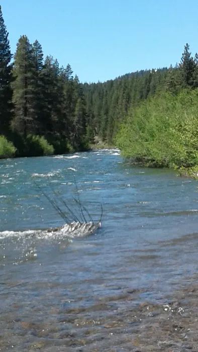 Donner Creek Mobile Home Park Picture 6