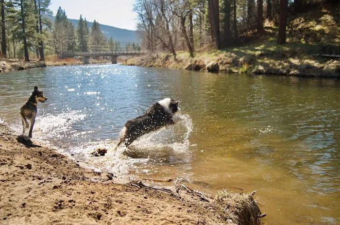 Clio's Rivers Edge RV Park Picture 2