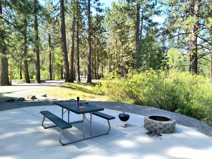 Clio's Rivers Edge RV Park Picture 5