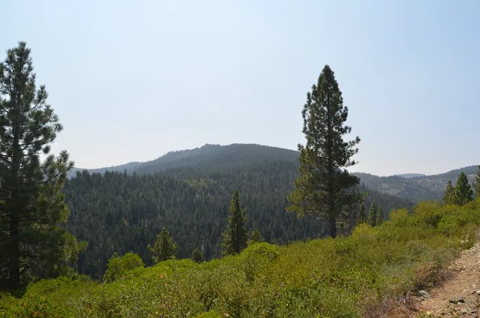 Clio's Rivers Edge RV Park Picture 7