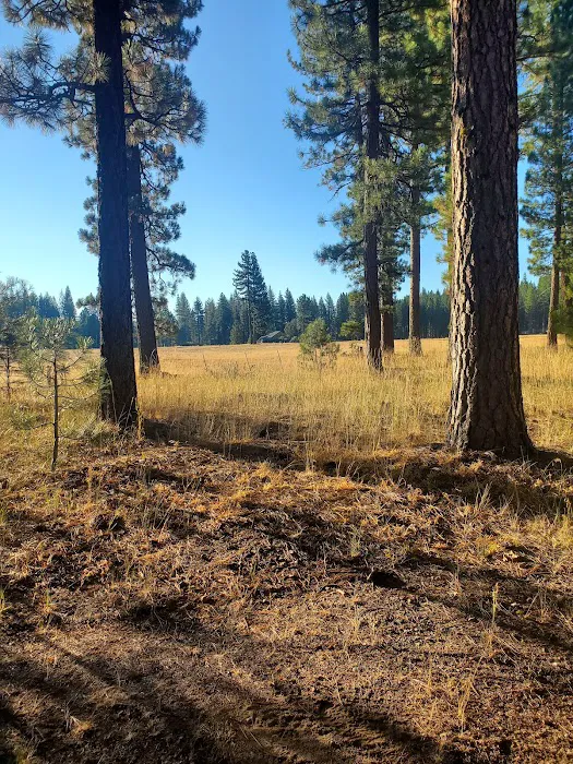 Movin' West RV Park Picture 2