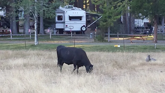 Movin' West RV Park Picture 3