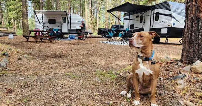 Movin' West RV Park Picture 6