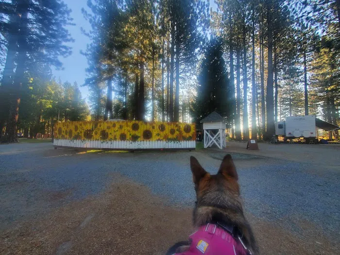 Movin' West RV Park Picture 4