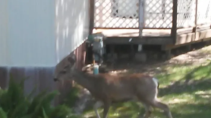 Eagle Ridge RV Park Picture 10