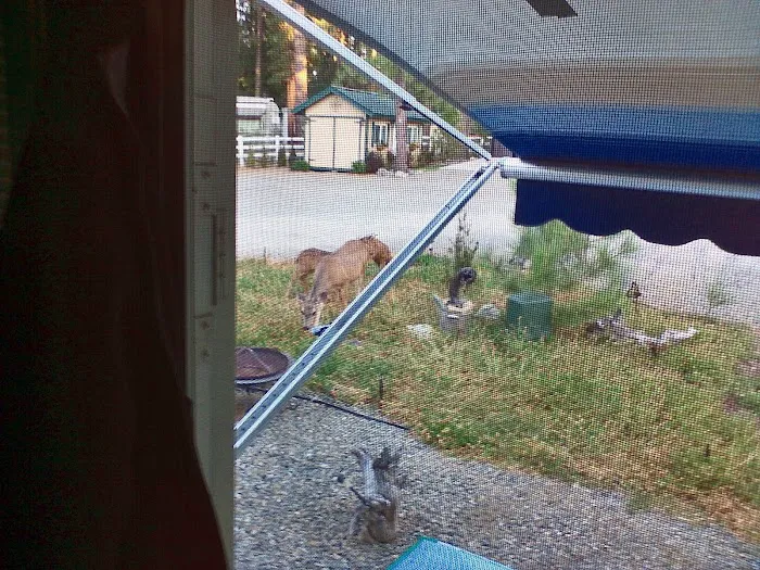 Eagle Ridge RV Park Picture 9