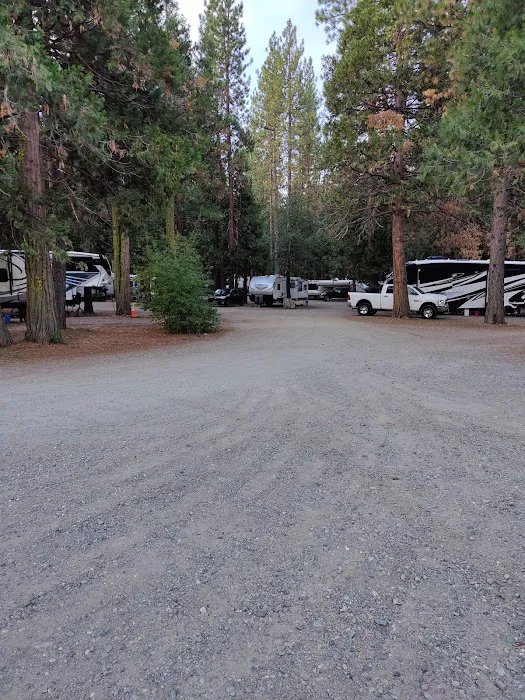 Golden Coach RV Park Picture 6