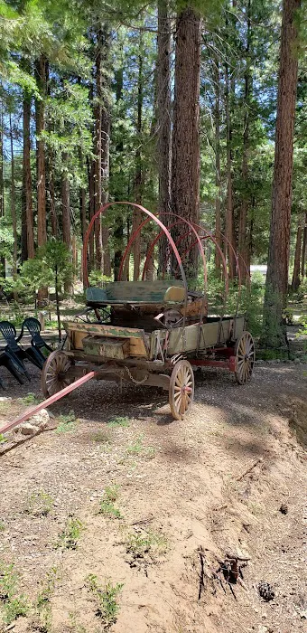 Golden Coach RV Park Picture 9