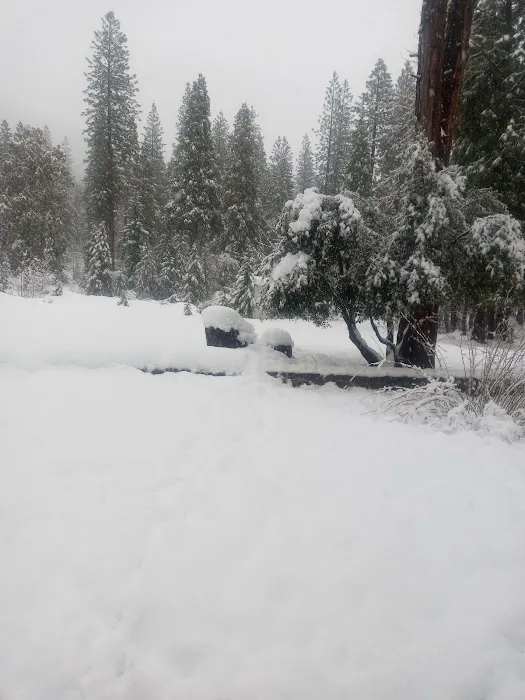 Golden Coach RV Park Picture 5