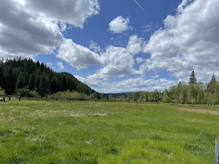 Golden Coach RV Park Picture 10