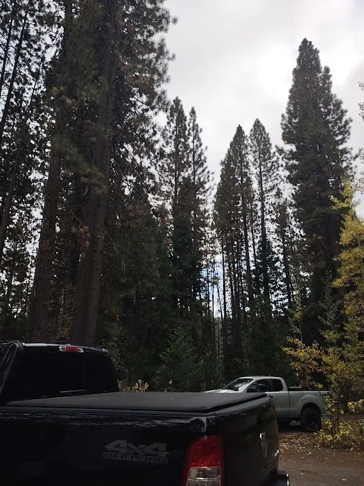 Neighbors RV Village Picture 2