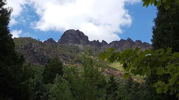 Sierra Skies RV Park Picture 5