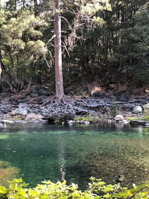 Sierra Skies RV Park Picture 10