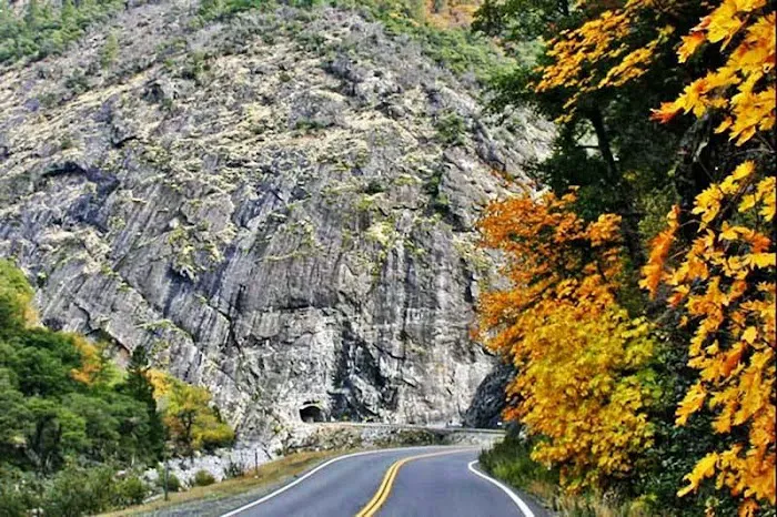 Pioneer RV Park Picture 4